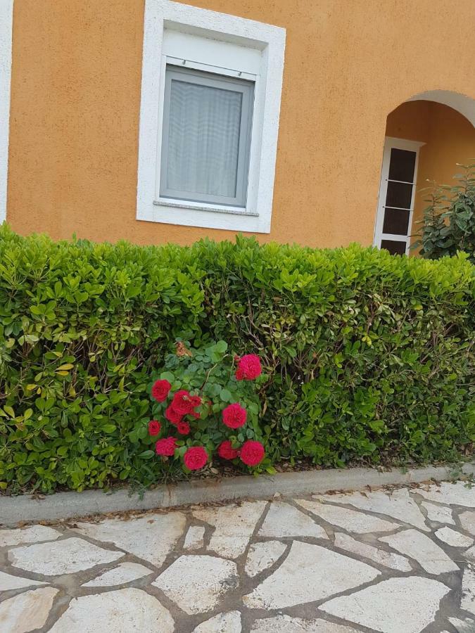 Apartmani Anna Vir Zewnętrze zdjęcie